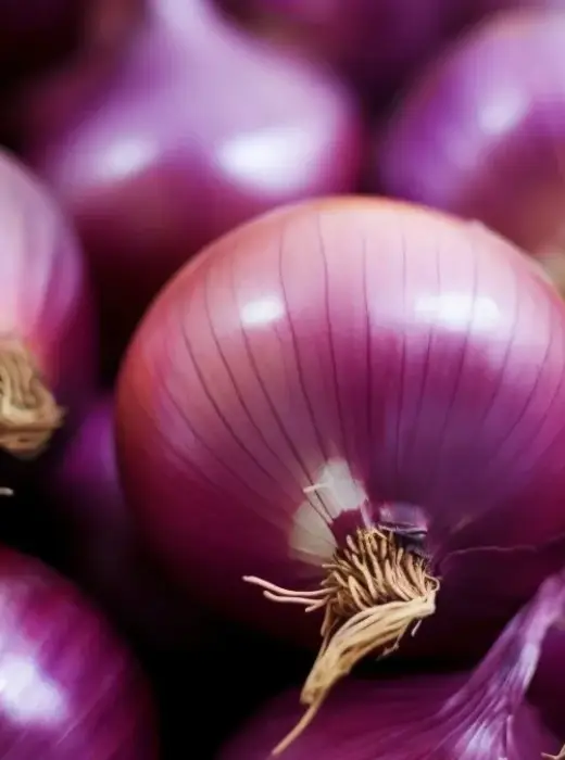 red-onions red-onions