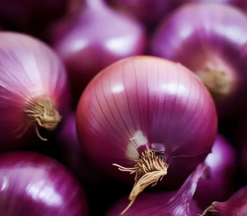 red-onions red-onions